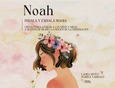 Portada de: NOAH